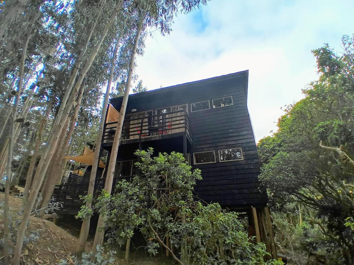 Lodge Terra Mar ปิชิเลมู ภายนอก รูปภาพ