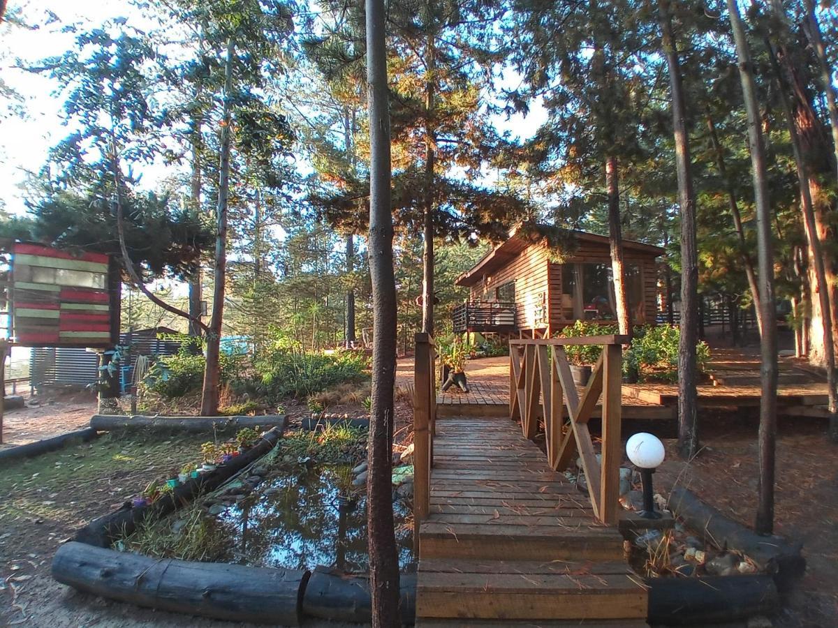 Lodge Terra Mar ปิชิเลมู ภายนอก รูปภาพ