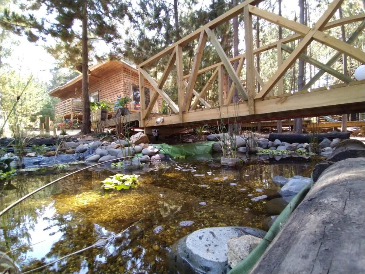 Lodge Terra Mar ปิชิเลมู ภายนอก รูปภาพ